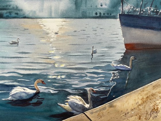 City ​​and Swans