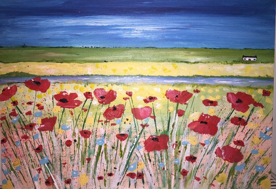 Poppies over the River