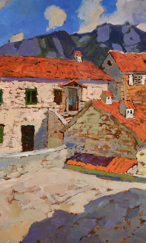 The Roofs of Montenegro by Alexander Shandor