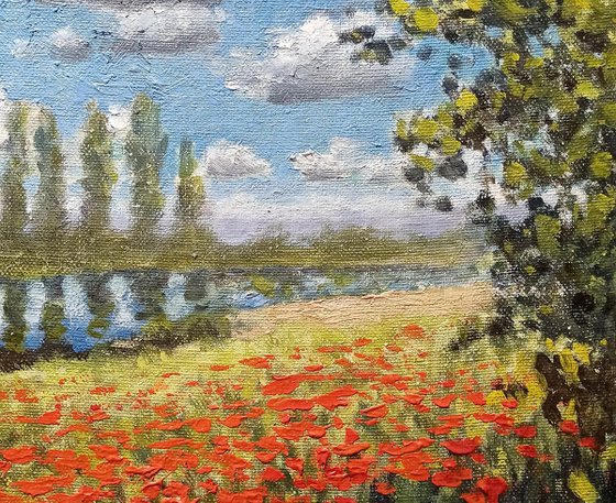 Poppy field by the river