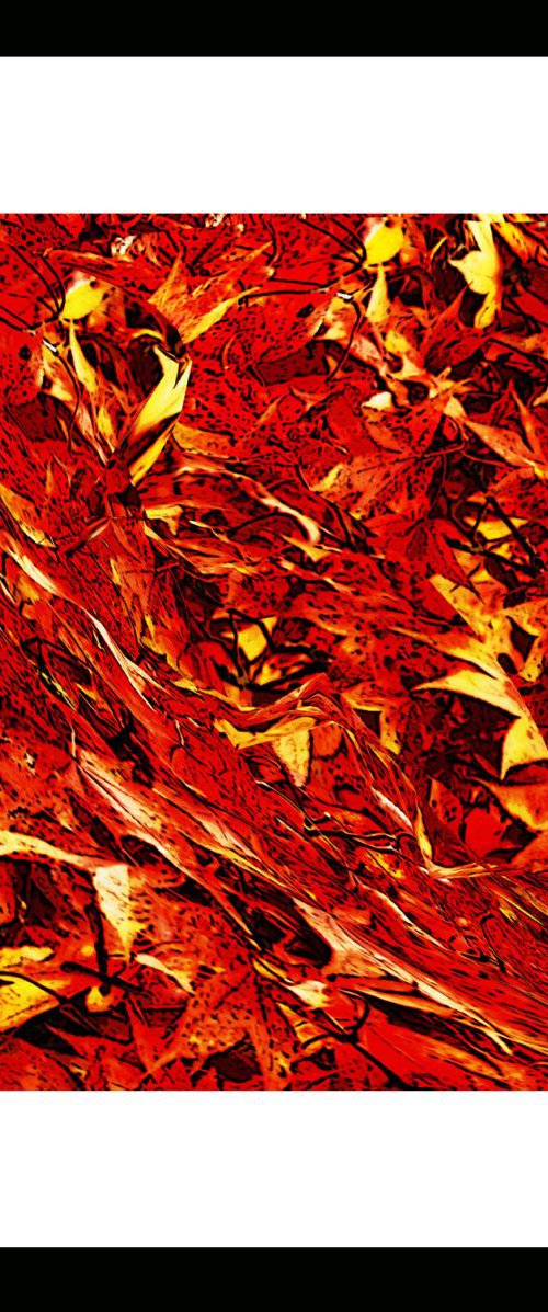 Natural Abstracts - Autumn Leaves number 2 by Ken Skehan