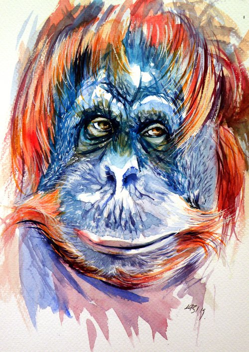 Orangutan by Kovács Anna Brigitta