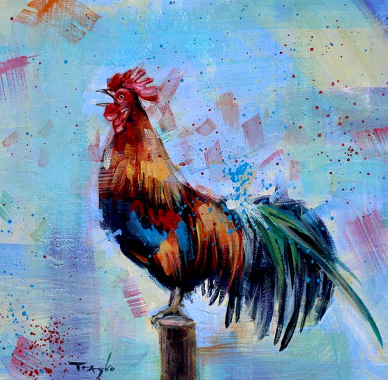Rooster crowing | Early morning