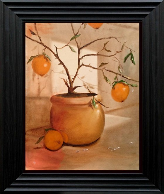 Orange tree