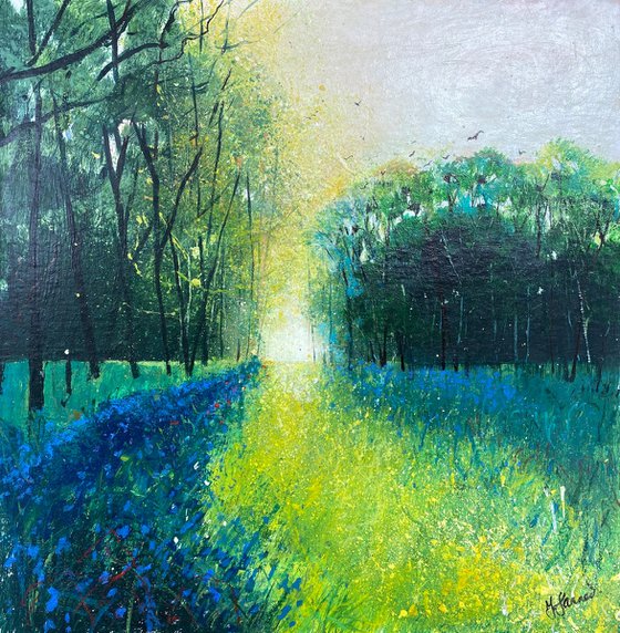 Seasons - Spring The joy of Bluebells