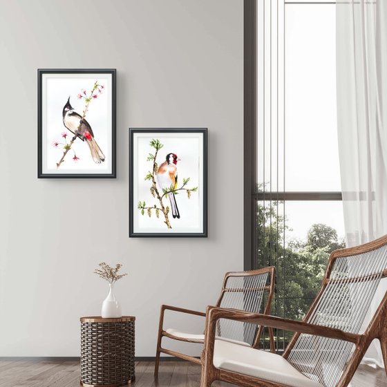 Twin Colorful Noble birds