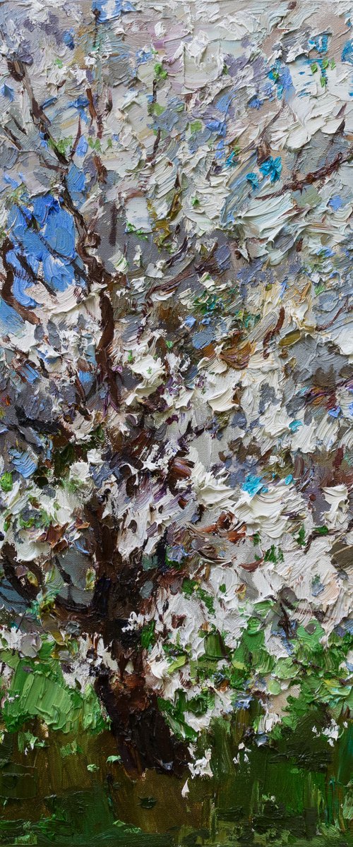 Flowering cherry tree - Original oil painting by Anastasiia Valiulina