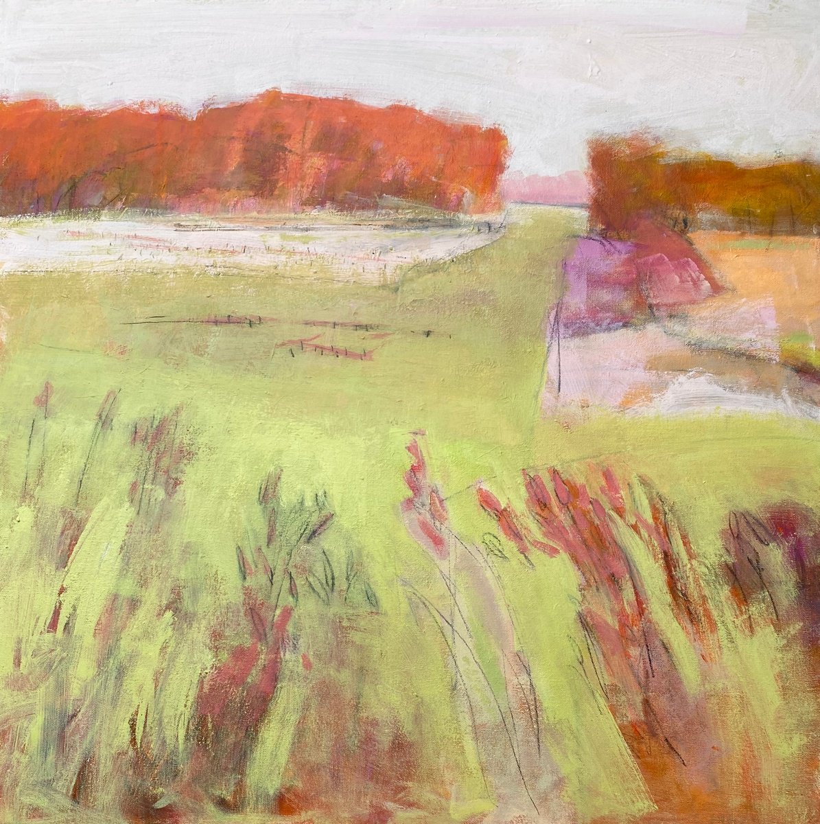 Spring Fields by Chrissie Havers