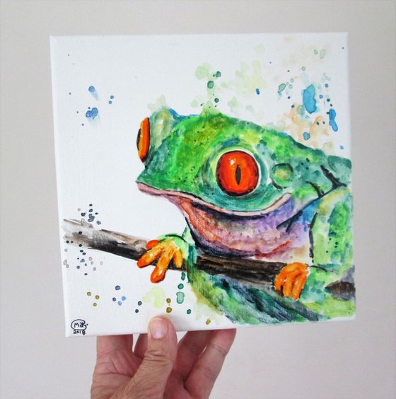 Red Eyed Tree Frog