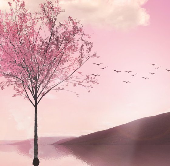 Autumn Tree