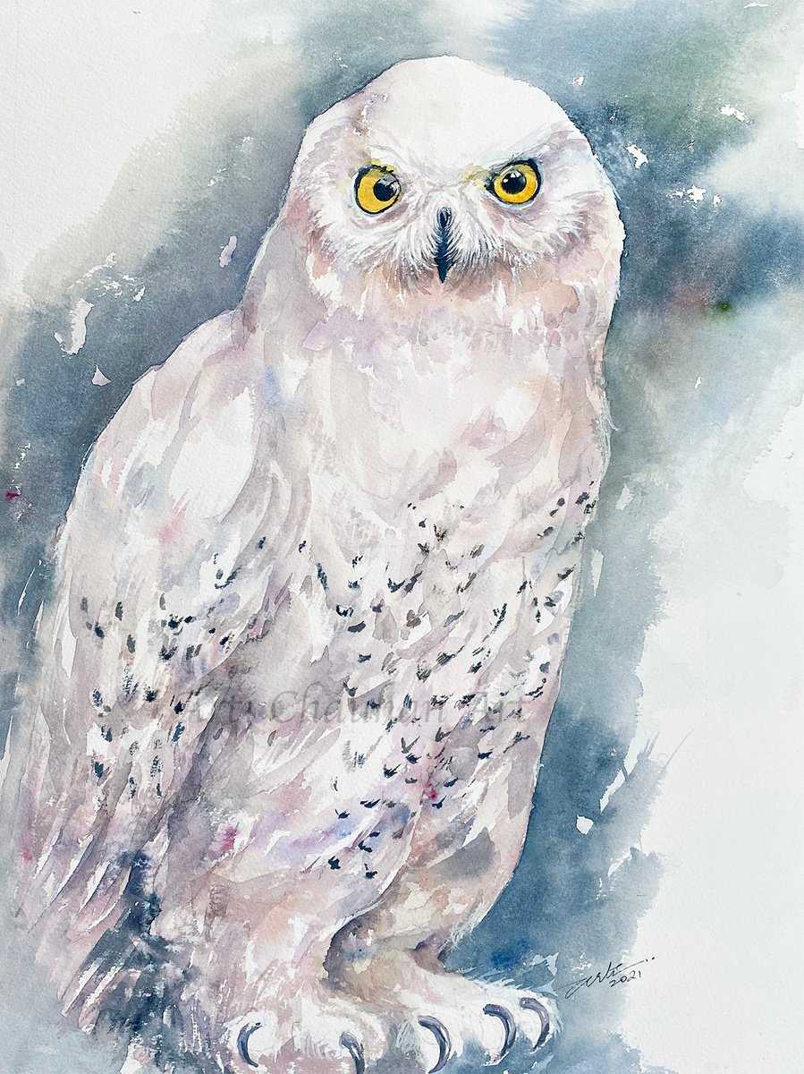 White Owl Vida by Arti Chauhan