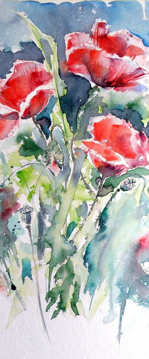 Poppies by Kovács Anna Brigitta