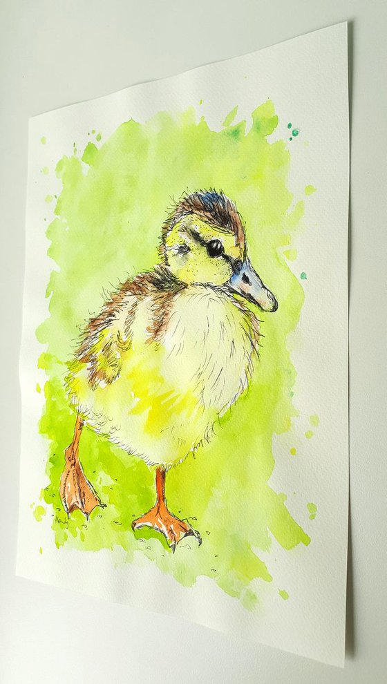 "Little duckling"