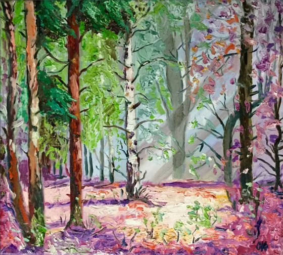 Forest in the morning