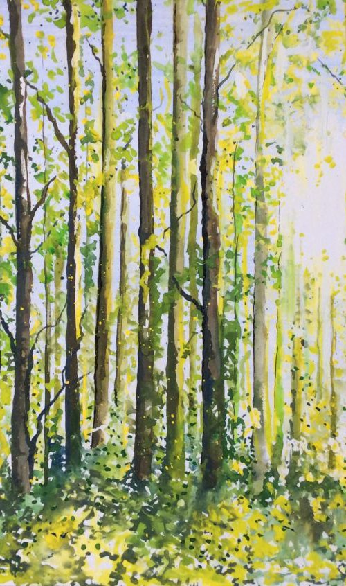 Midsummer Morning by Lucy Smerdon