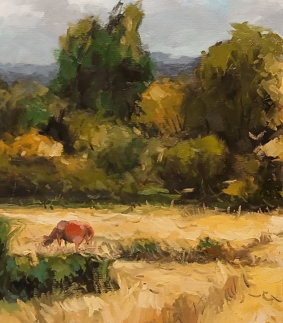 Golden Pasture