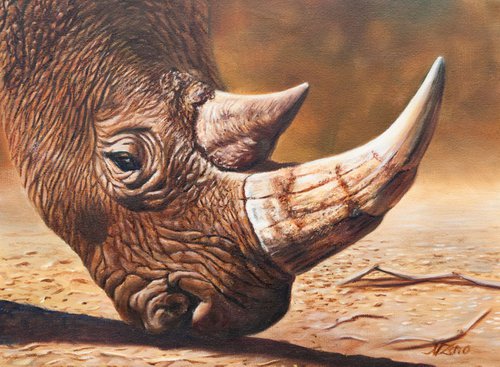 Rhino by Norma Beatriz Zaro