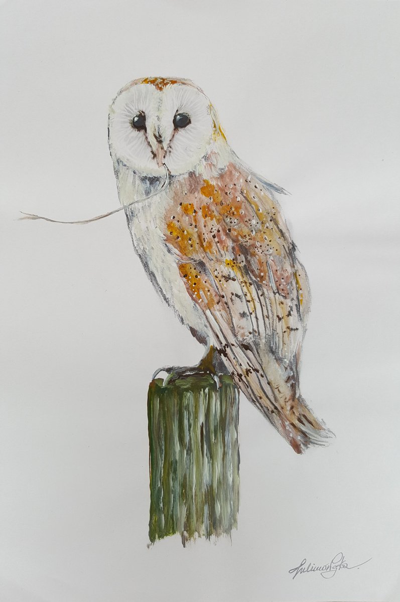 Owl #6 by Maja Tulimowska - Chmielewska