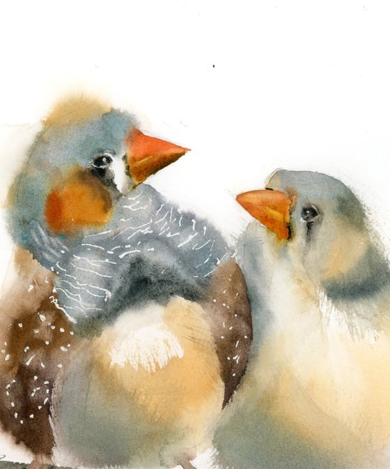 Two zebra finches