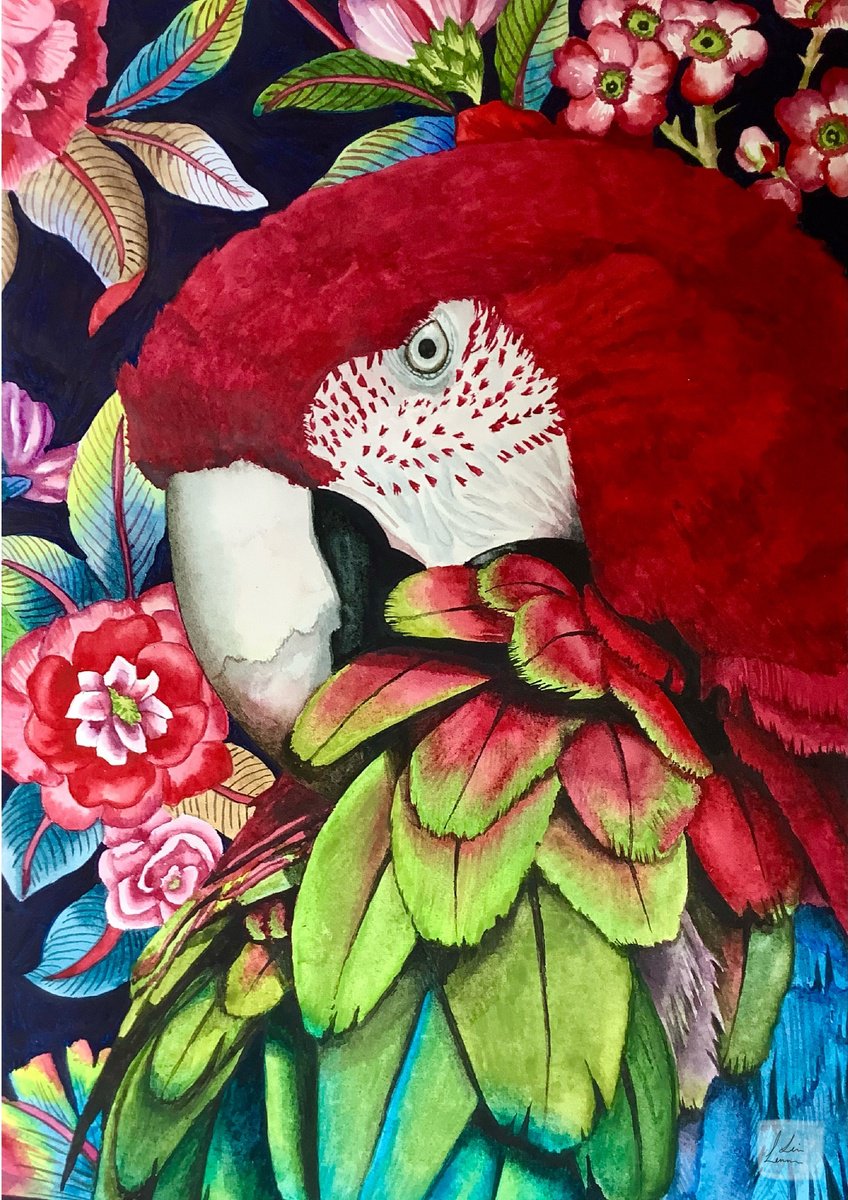 Animal Watercolour By Lisa Lennon, 8 X 12", Macaw Parrot, Original Artwork