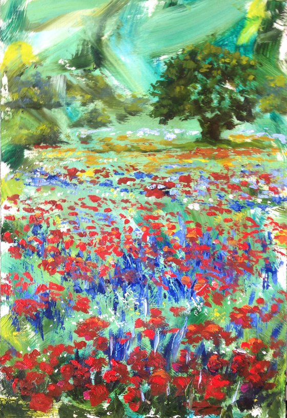 Fields of Blooming Poppies