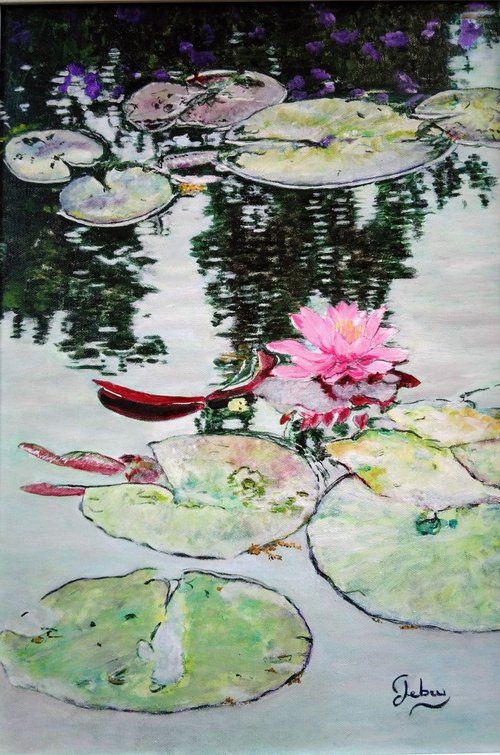 Flowers waterlily by Isabelle Lucas