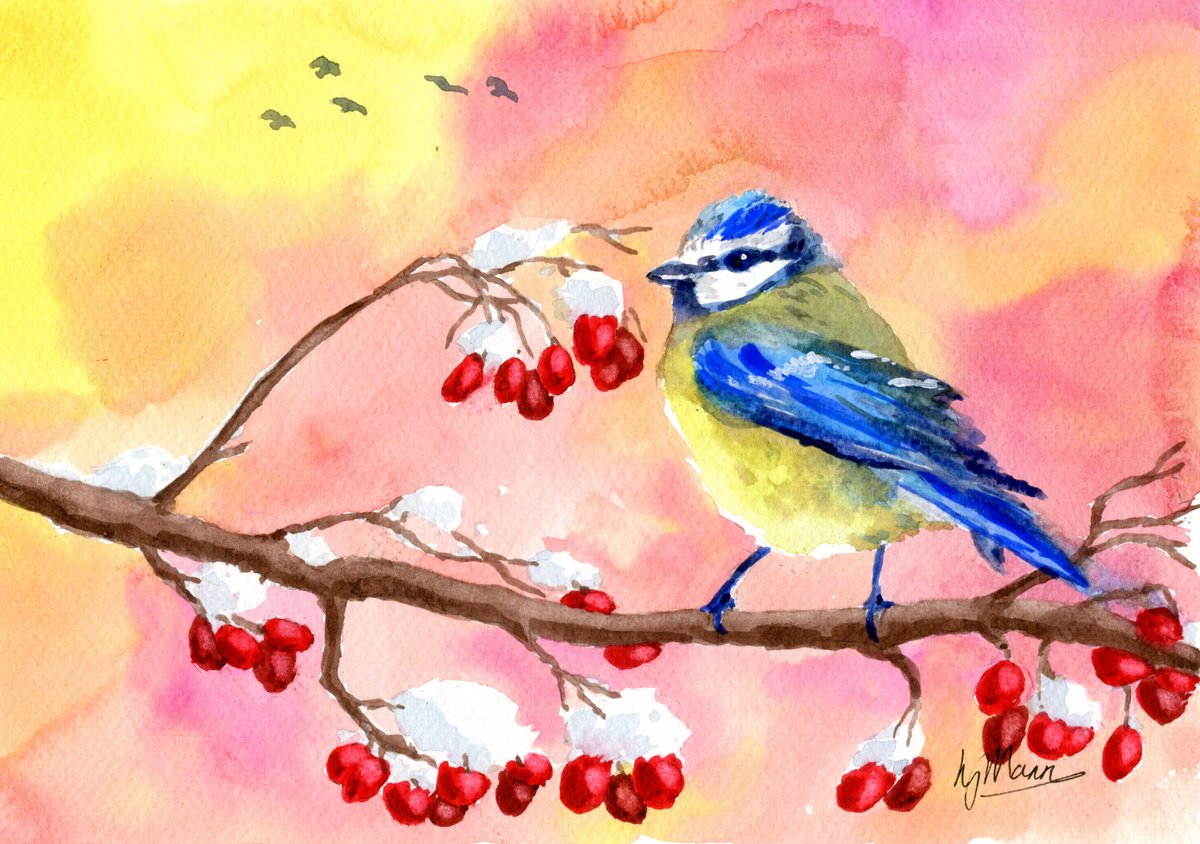 Blue Tit and Winter Berries by Lisa Mann