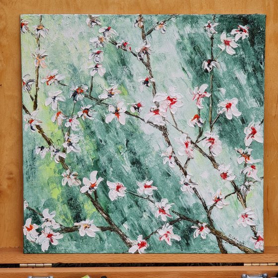 Cherries in bloom 1