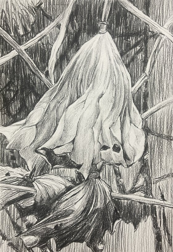 Lotus leaf