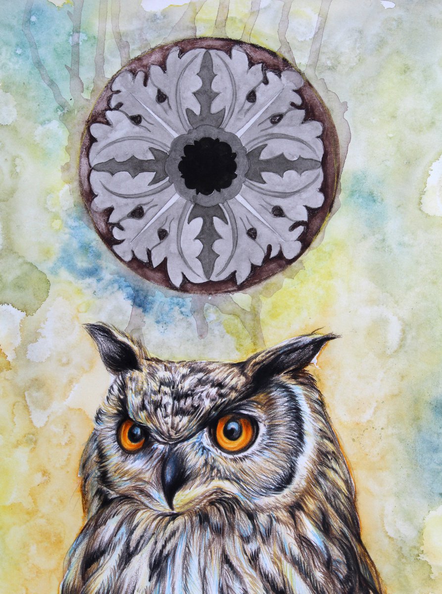 The owl by Griselle Morales Padron