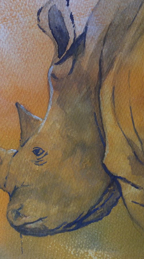 Rhino by David Harmer