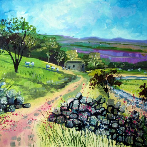 Swaledale Path, Yorkshire Dales by Julia  Rigby
