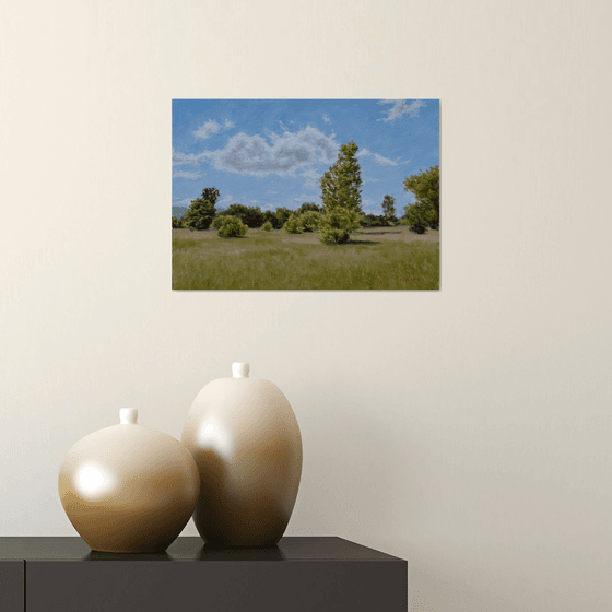 Bar Bushes II - The Calm of Summer Fields