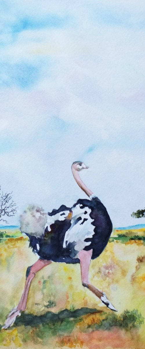 OSTRICH by Zoran Mihajlović Muza