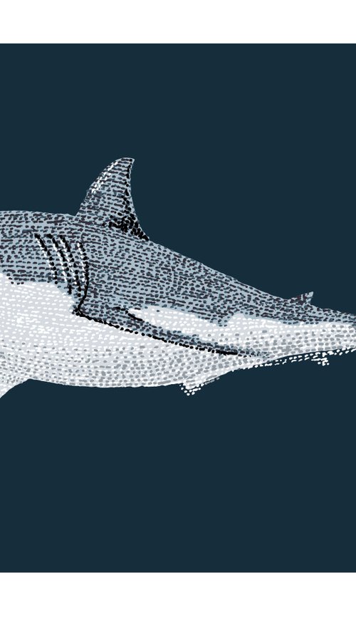 Great White Shark - Stippling Illustration by Kelsey Emblow