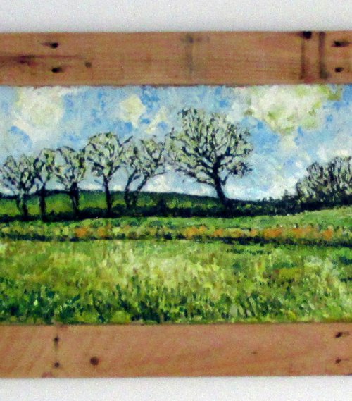 Winswell Water, Spring by Richard Meyer