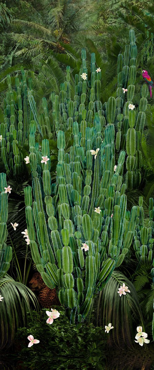 Cactus Forest - Framed by Nadia Attura