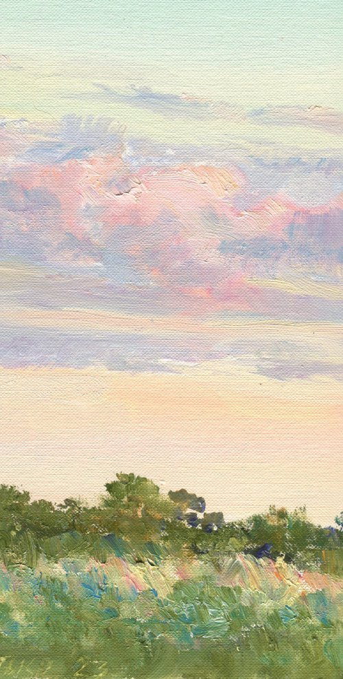 A small pink cloud / ORIGINAL oil painting. Plain air summer landscape ~11x10in (30x25cm) by Olha Malko