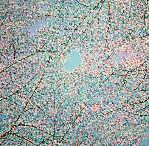 Cherry blossom by Nataliia Krykun