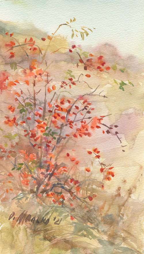 Red flame of a dog-rose / Plein air watercolor Original landscape picture Autumn art work Small size painting by Olha Malko