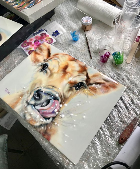 Messy Fred -  Original Oil Painting Jersey Cow, Resin 16x12"