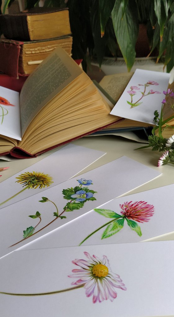 Clover Flower - from my Wildflowers Bookmarks Collection
