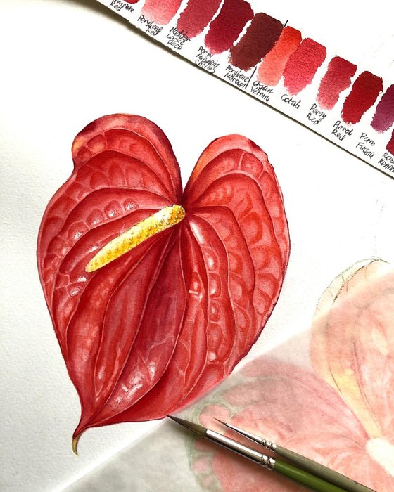 Anthuriums.