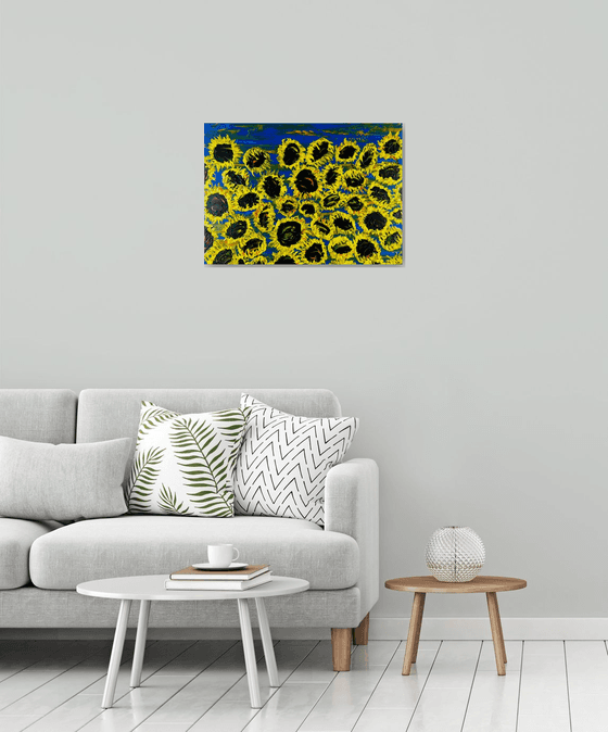 Blooming sunflowers 6