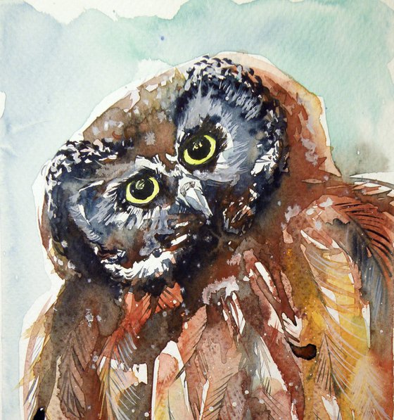 Owl