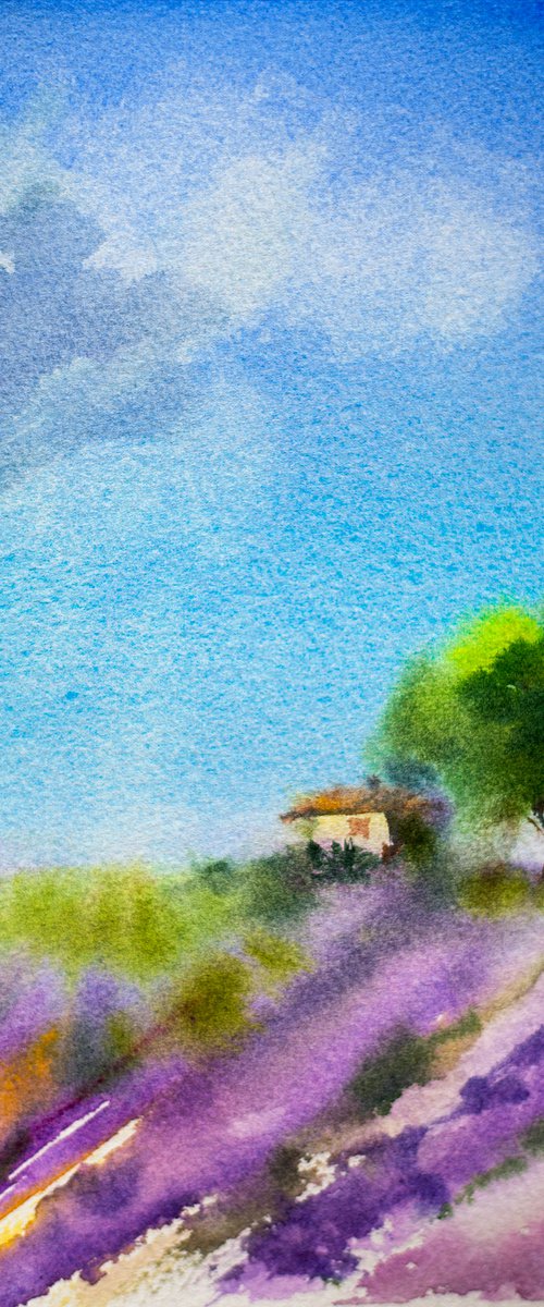 Lavender landscape. Original small watercolor. Study little purple france provence interior detail cute house impression by Sasha Romm