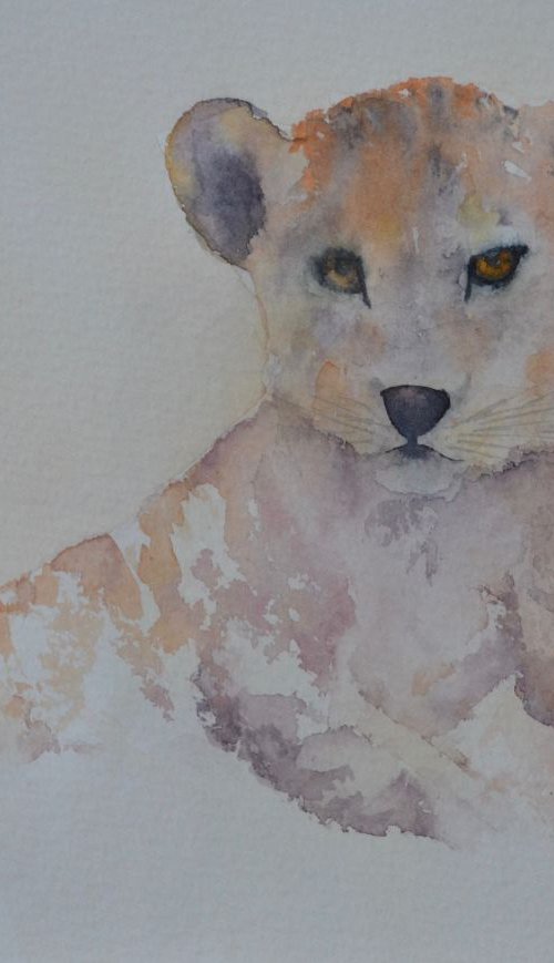 LION CUB - ORIGINAL WATERCOLOUR by JANE  DENTON