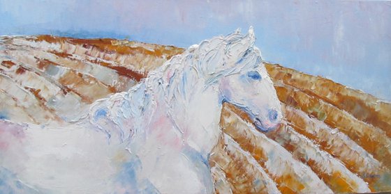 White horse over ploughed field.