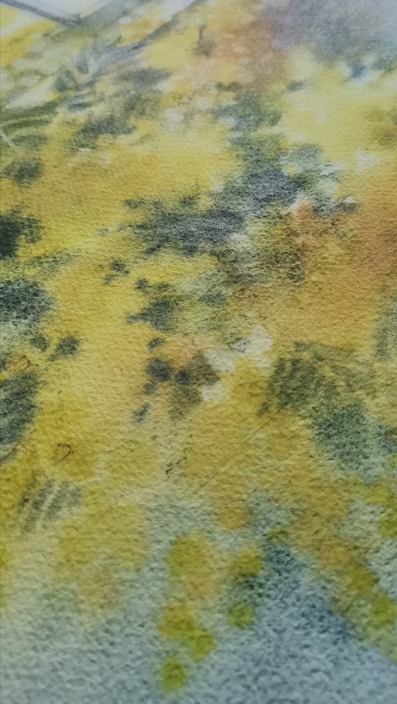 Still life with mimosa