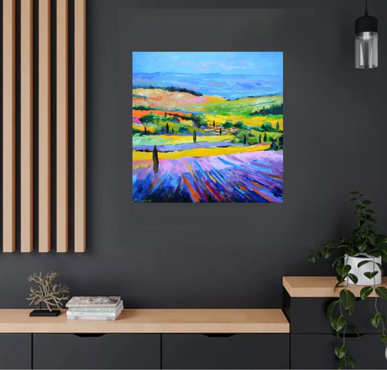 Colourful Provence   77